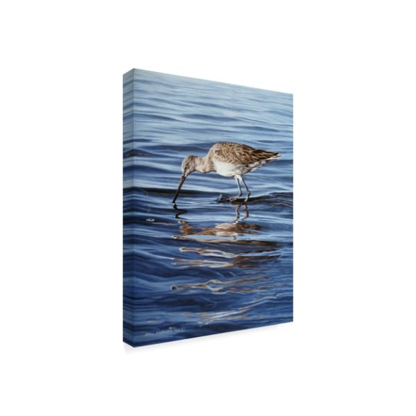 Ron Parker 'Willet' Canvas Art,18x24